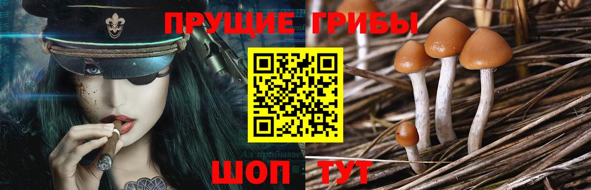 Псилоцибиновые грибы ЛСД Россошь